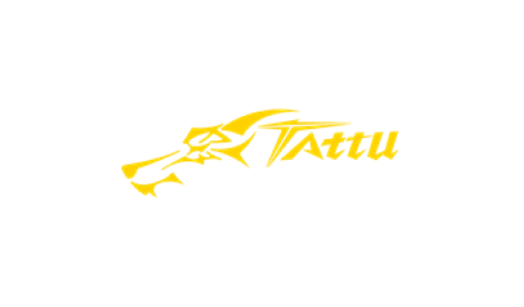 Tattu UAV